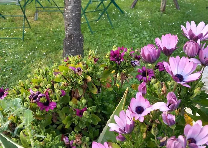 Apartmán 4Keys House - Apartment 3